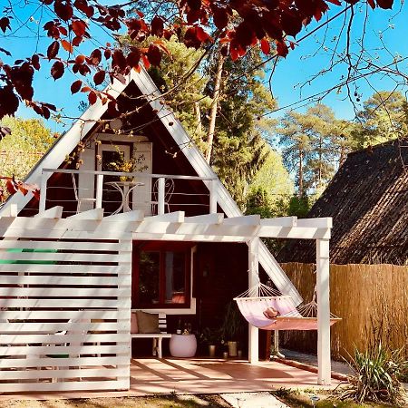 Nadi'S Holiday Home - Heart Of Woods, Szentendre Island Szigetmonostor 外观 照片