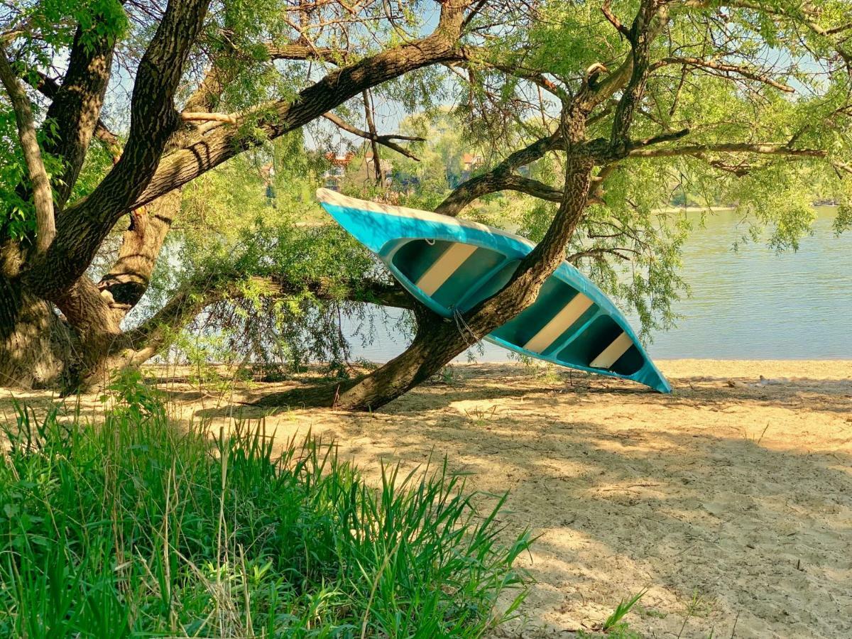 Nadi'S Holiday Home - Heart Of Woods, Szentendre Island Szigetmonostor 外观 照片