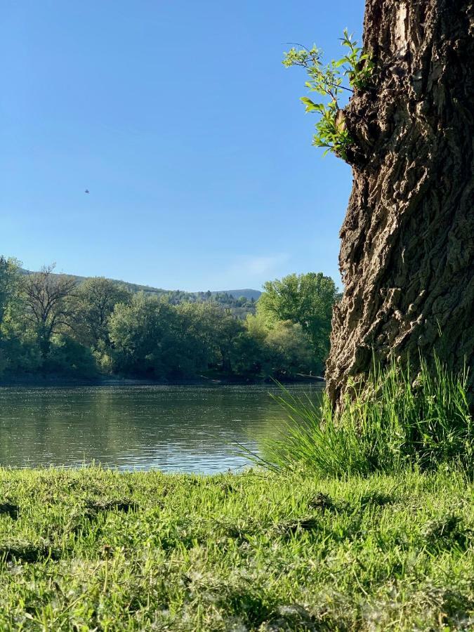 Nadi'S Holiday Home - Heart Of Woods, Szentendre Island Szigetmonostor 外观 照片