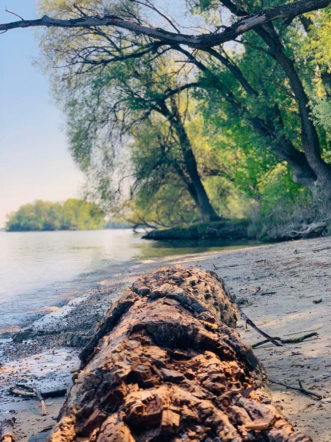 Nadi'S Holiday Home - Heart Of Woods, Szentendre Island Szigetmonostor 外观 照片