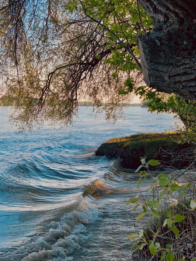 Nadi'S Holiday Home - Heart Of Woods, Szentendre Island Szigetmonostor 外观 照片